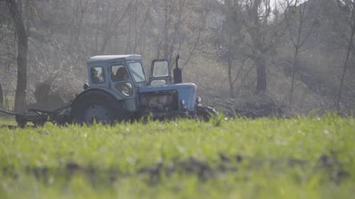 Old Blue Tractor Riding Along Green Grass on Sunny Spring Day