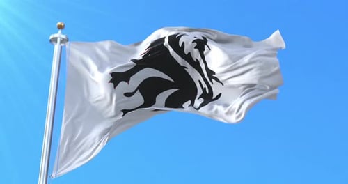 Waving White Flag with Stylized Lion against Blue Sky