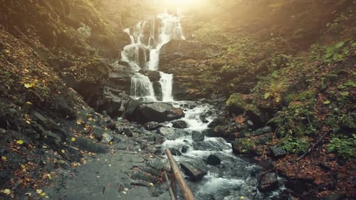 Madera otoñal dorada de Highland Slope Waterfall Brook