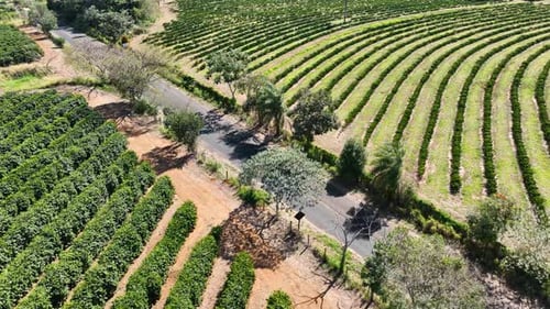 Aerial View of Agriculture and Rural Road