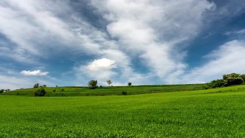 Rural landscape
