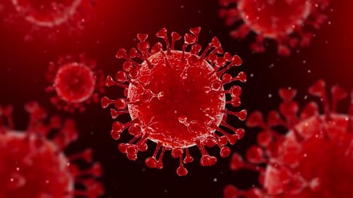 Animated Red Virus Microorganism Cells Seamless Loop