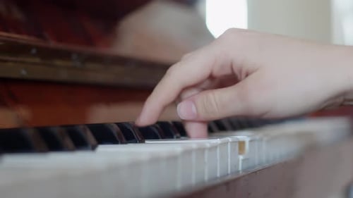Musiker spielt Klavier mit der Hand