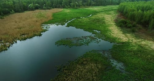 View of the marsh area from the above.