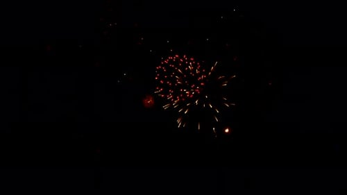 Colorful Fireworks Explode in the Night Sky