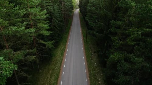 Drohne steigt und kippt über einsame Straße, Nadelwald