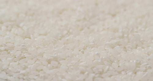 White Japonica Rice