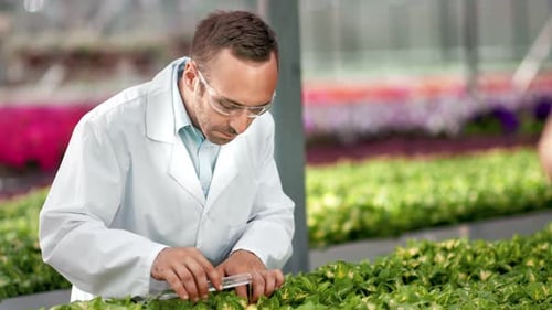 Focused Male Agriculture Engineer Pouring Sample Water at Organic Plant Holding Glass Tube