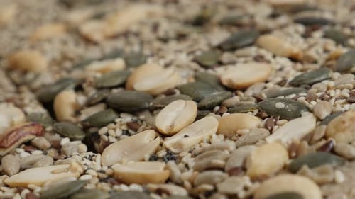 Mixed Seeds and Nuts Close-Up on Flatbread