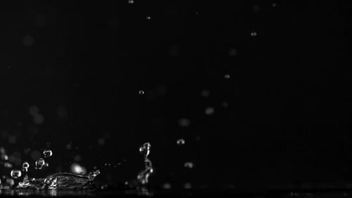 Abstract Water Droplets Splashing on Black Background