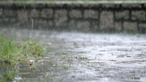 Rainfall on Concrete and Grass Surface