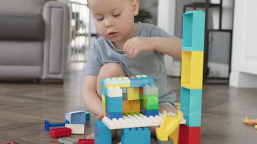 Little Child Boy Playing Building Bricks Blocks Sitting on Floor in Living Room