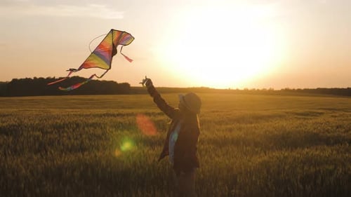 Pretty Girl Playing with Kite in Wheat Field on Summer Day. Childhood, Lifestyle Concept.