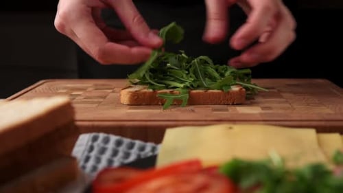 Preparing Healthy Sandwich with Fresh Ingredients