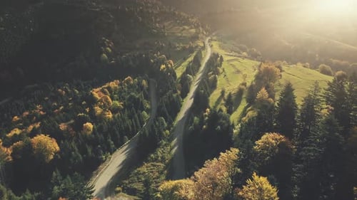 Colorful Hill Forest Country Road Aerial View