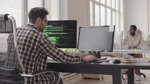 Two Programmers at Workplace