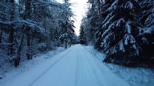 Schöne malerische Luftaufnahme eines Winterwaldes an sonnigen Wintertagen, mit frischem Schnee bedeckte Bäume,