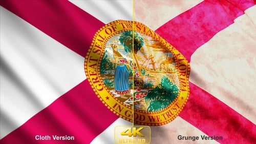 Waving Florida State Flag Clean and Distressed Versions