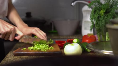 Weibliche Hausfrau bereitet gesundes Essen in der Küche zu. Sie schneidet Gemüse.
