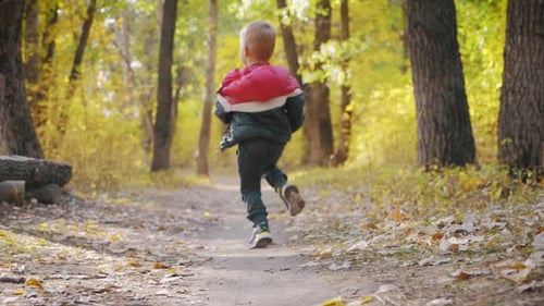 Happy Baby Boy Running in Autumnal Park. Little Child Playing on Autumn Walk. Autumnal Forest with