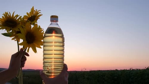 Seeds and Oil