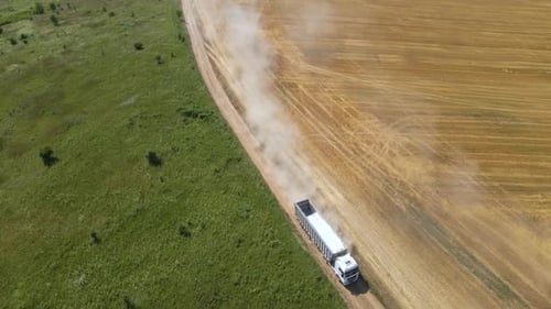 Aerial View of Cargo Truck Driving on Dirt Road Between Agricultural Wheat Fields Making Lot of Dust