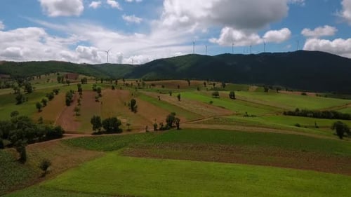 Campo de moinhos de vento