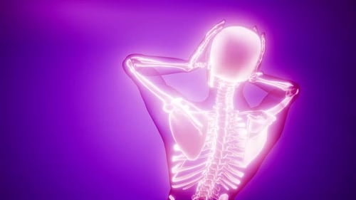 Radiographie des menschlichen Skeletts Medizinischer Scan