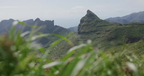 Masca Valley with Green Foliage in Foreground