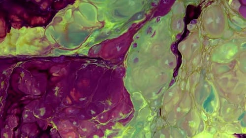 Vibrant Abstract Liquid Paint Motion Background