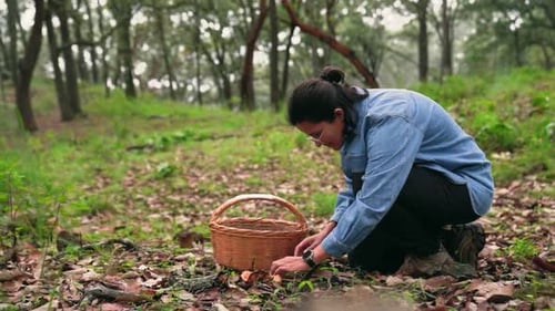Woman Picking Mushrooms in Forest with Woven Basket