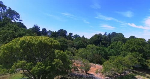Blick auf den schönen Park