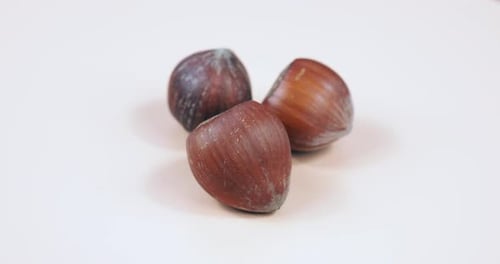 spinning hazelnuts with the shell close-up background