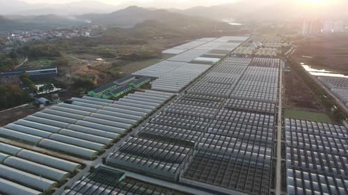 Aerial View of Large Greenhouse Farming Operation