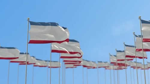 Many National Flags Waving on Poles Loop
