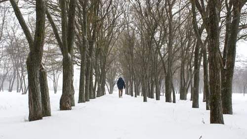 Der Mensch geht bei Schneefall zwischen Bäumen