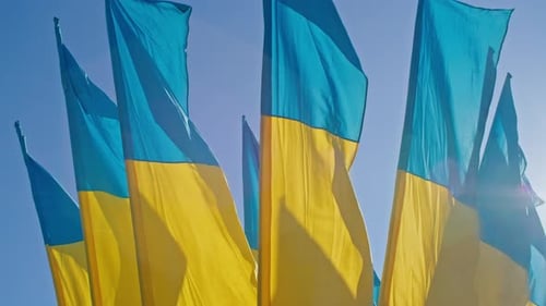 Ukraine Flags Waving Against a Clear Blue Sky