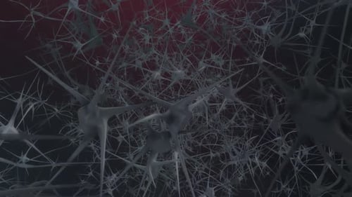 Network of Neurons and Synapses