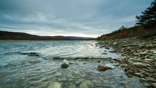 Wild Mountain River Close Up Abundant Clear Stream. Detail Static Shot of Babbling Creek with Stone