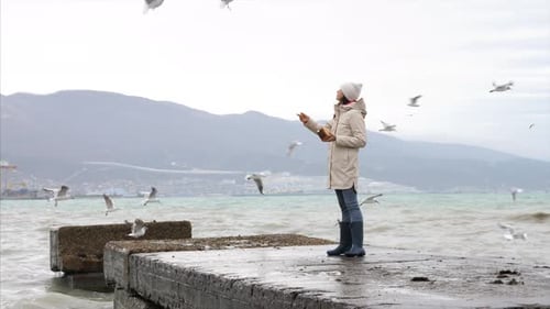 Woman Feeding Gulls on a Pier by the Sea
