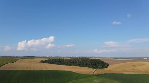 Vista do campo de trigo com Drone e do milho