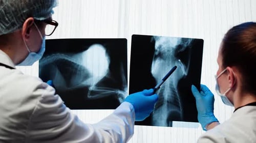 Healthcare Professionals Examine Animal X-Rays in Clinic