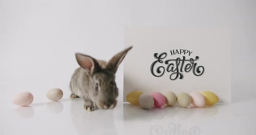 Ein kleines Kaninchen spielt mit der Aufschrift Happy Easter