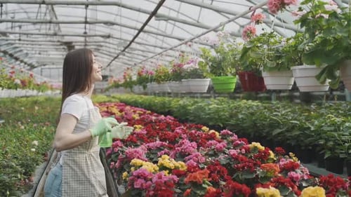 Girl sprays flowers in the garden. Caucasian woman takes care of plants by moisturizing them. Slow m