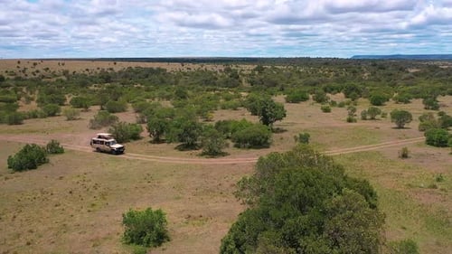 National Park Safari