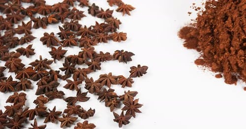 Star Anise and Ground Spice Close Up