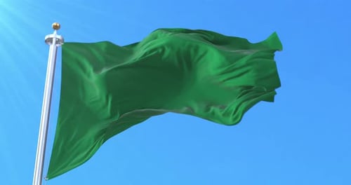 Seamless Loop of Green Flag Waving in Blue Sky