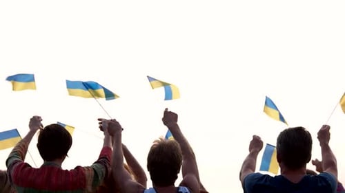 People waving flags in support and unity