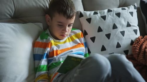 Boy Reads Book on Couch at Home