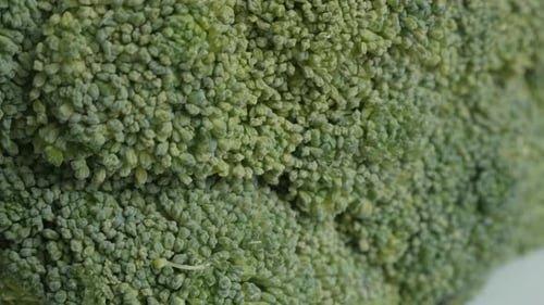 Texture of edible green broccoli Brassica oleracea close-up slow pan video